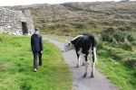 PICTURES/Ring of Kerry - Staigue Stone Fort/t_DSC00244.JPG